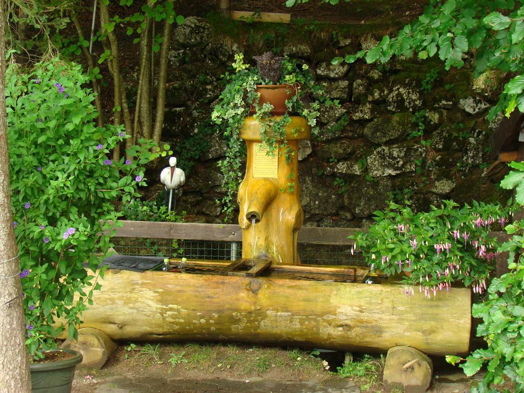 Landhaus Teufl Bed & Breakfast Faistenau Dış mekan fotoğraf